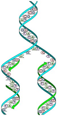90559657_211557133500671_3058071922261622784_n